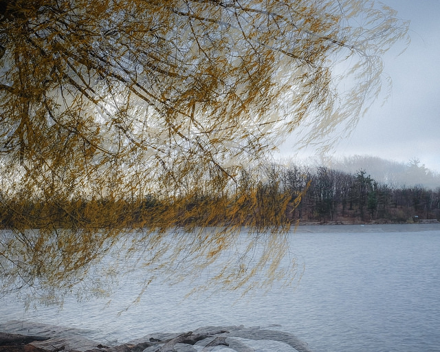 31022635961_4beedc85fc_z-3